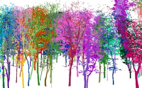 Plot-level tree reconstruction and biomass estimation
