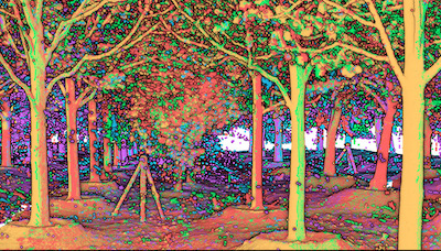 Forestry point cloud registration