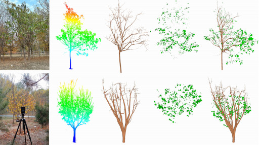 AdLeaf: Quantitative leaf reconstruction from TLS point clouds