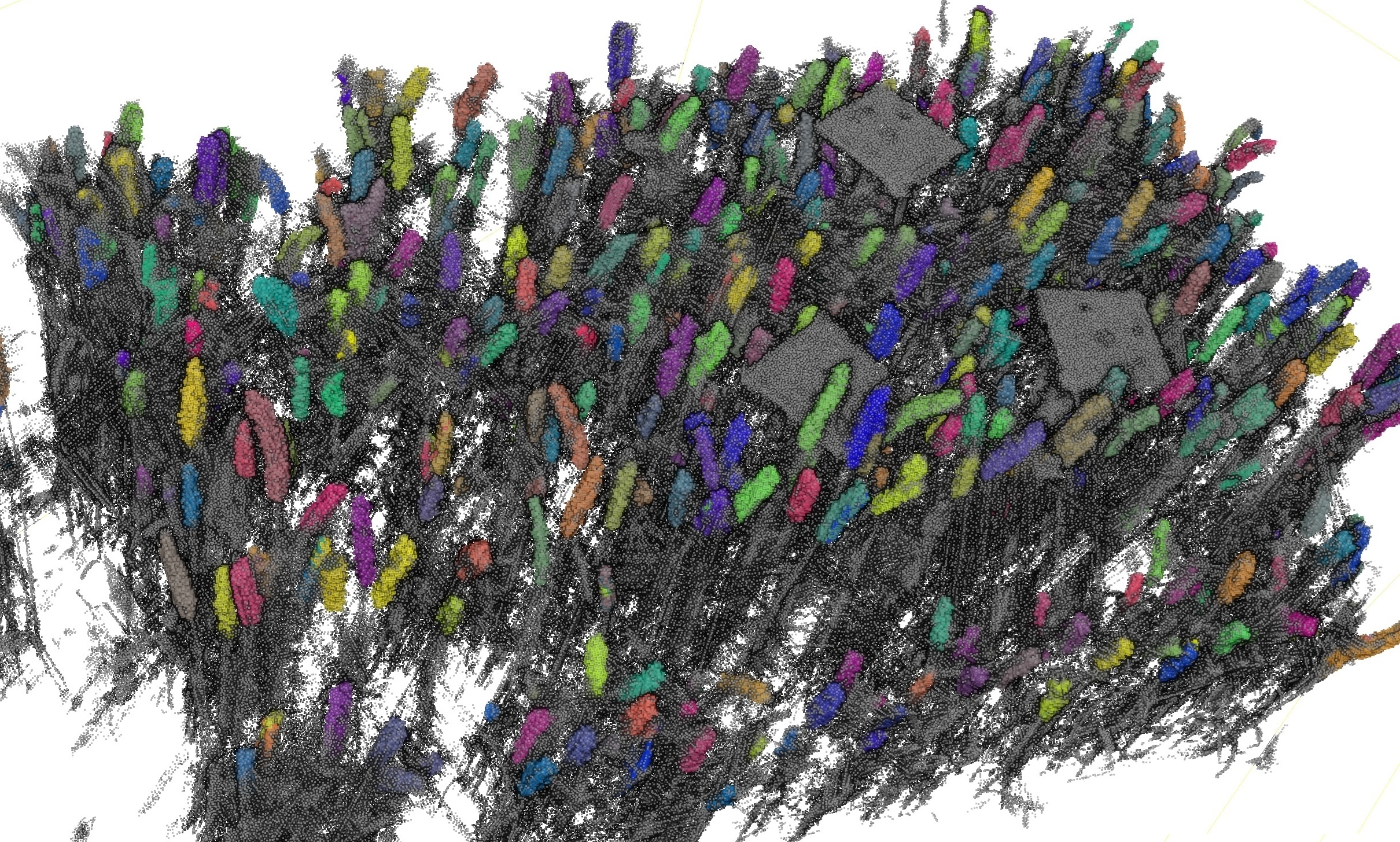In-Field 3D Wheat Head Instance Segmentation from TLS Point Clouds Using Deep Learning without Manual Labels