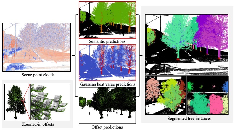 SATree: Structure-aware tree instance segmentation from 3D LiDAR point clouds